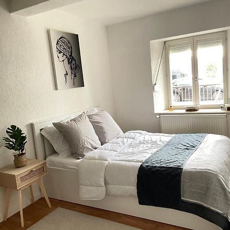 Appartement La Petite Venise Colmar Zewnętrze zdjęcie