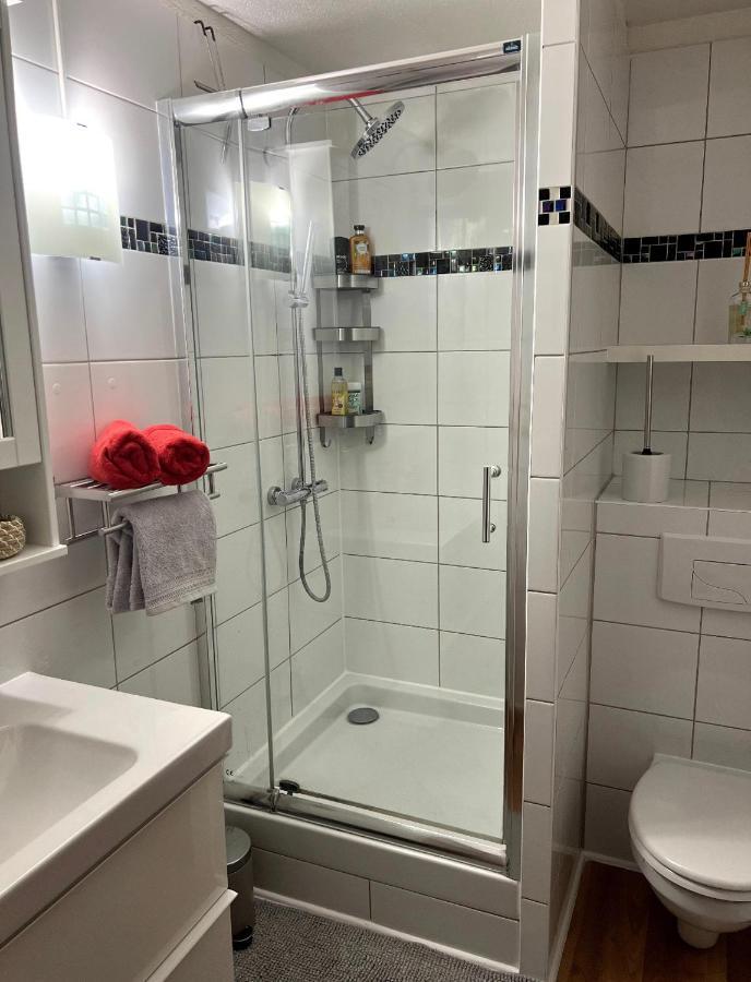 Appartement La Petite Venise Colmar Zewnętrze zdjęcie