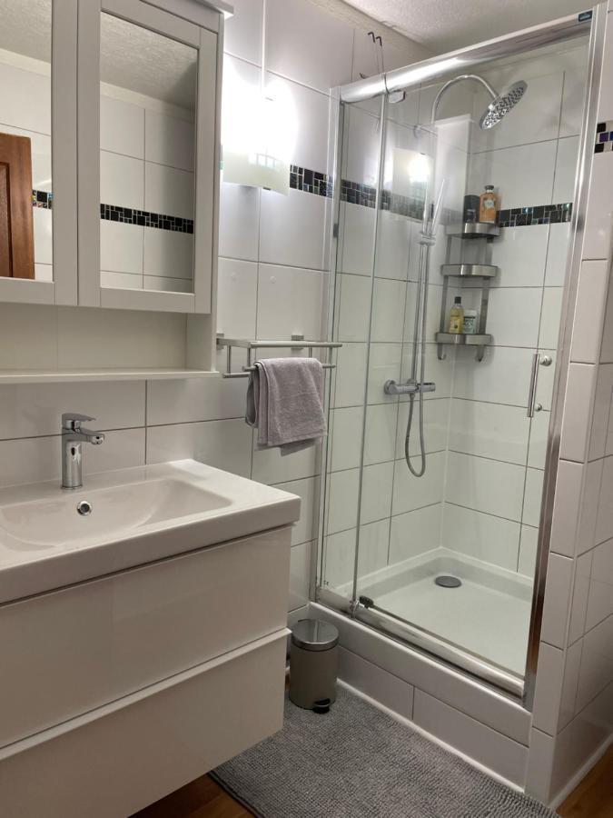 Appartement La Petite Venise Colmar Zewnętrze zdjęcie